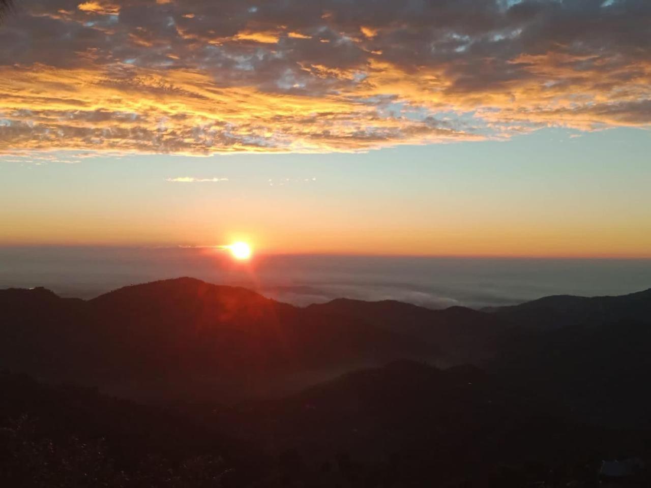 The Summer House Kasauli I Party & Music I Sky Bonfire I Managed By Exotic Stays Kültér fotó